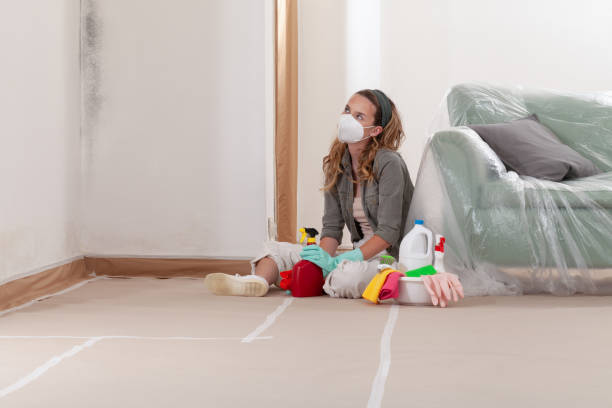 Reliable Mold Inspection contractor in Netcong, NJ by WQB Mold Removal